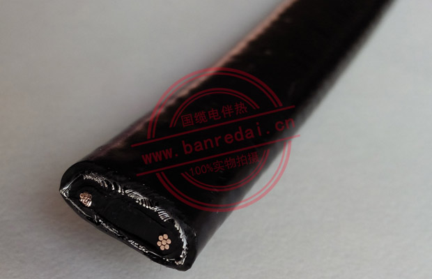 低溫型自限溫電伴熱帶細節